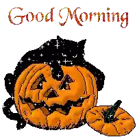 Good Morning Halloween Sticker - Good Morning Halloween Black Cat Stickers