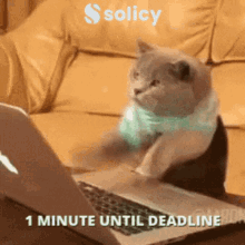 Solicy Deadline GIF - Solicy Deadline Typing GIFs