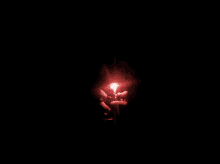 Flaming Heart GIF