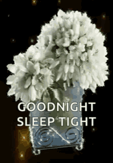 goodnight sleep tight sparkles flowers