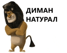 a cartoon lion is standing with his arms crossed and the words " diman natural " written above him