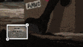 a person standing next to a wooden box that says ammo on it