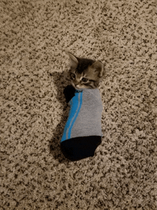 a kitten wrapped in a sock on the floor