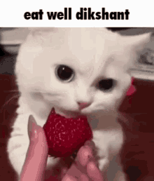 Dikshant Eat GIF - Dikshant Eat GIFs