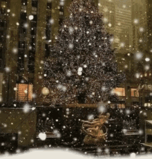 Christmas Newyorkcity GIF - Christmas Newyorkcity GIFs