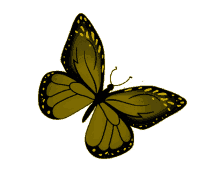 butterfly yellow monarch yellow butterfly freedom