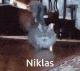 Niklas Nikulasu GIF - Niklas Nikulasu GIFs