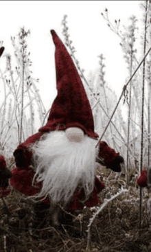 Gnomes Are Great GIF - Gnomes Are Great GIFs
