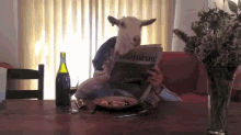 I Wonder How The Stocks Are Doing Today GIF - Goat Human Eating GIFs
