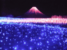 イルミネーション　富士山 GIF