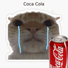 When You Drink To Much Coca Cola GIF - When You Drink To Much Coca Cola GIFs