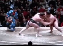 日馬富士 横綱　相撲 GIF - Haramafuji Sumo Yokozuna GIFs