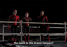 you went to the grand canyon grand canyon tobey maguire andrew garfield tom holland