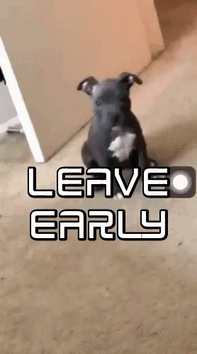 Leave Early Dogs GIF - Leave Early Dogs Funny Animals GIFs