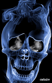 Skeleton Fire GIF - Skeleton Fire Skull GIFs