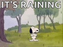 a cartoon of snoopy standing in the rain with the words " it 's raining " above him