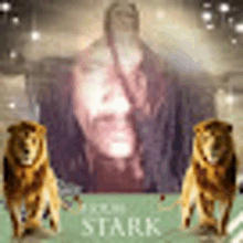 Man Lion Amun Shirazi GIF - Man Lion Amun Shirazi GIFs
