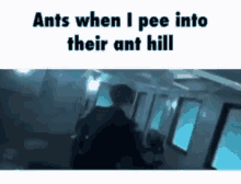 Ant Hill GIF - Ant Hill Ant Hill GIFs