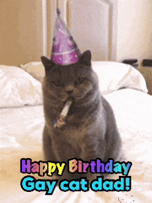 a cat wearing a party hat is sitting on a bed with the words happy birthday gay cat dad