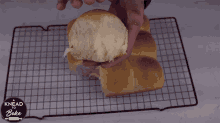 fluffy roll daniel hernandez a knead to bake squishing bread soft dinner roll