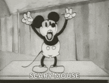 Mickeymouse Blackandwhite GIF - Mickeymouse Mouse Blackandwhite GIFs