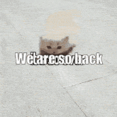 We Are So Back It'S Over GIF - We Are So Back It'S Over Its Over GIFs