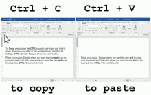 How to Copy and Paste a GIF