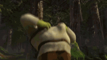 Wreck Orc GIF - Wreck Orc Shrek GIFs