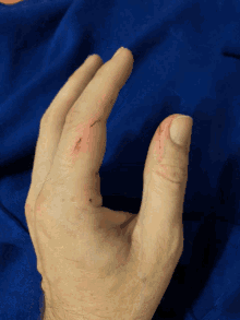 Griffe Hands GIF - Griffe Hands Cut GIFs