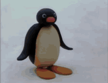 Pingu Nodding GIF