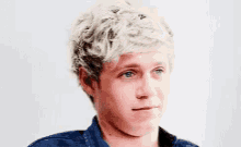 Niall Horan GIF - Niall Horan GIFs