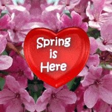 Spring Is Here Apple Blossom GIF - Spring Is Here Apple Blossom Cherry Blossom GIFs