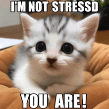 Stressed Anxious GIF - Stressed Anxious Anxiety GIFs