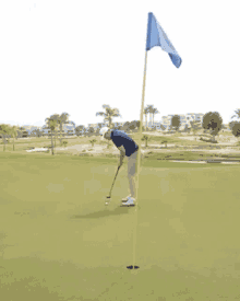 Golf Golf Course GIF - Golf Golf Course Golfing GIFs