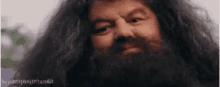 Giant GIF - Giant Hagrid GIFs