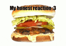 a hamburger with lettuce tomato and pickles with the words my honest reaction 3 below it