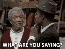 What Are You Saying Redd Foxx GIF - What Are You Saying Redd Foxx Fred Sanford GIFs