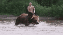 Bear Putin GIF - Bear Putin 普京 GIFs