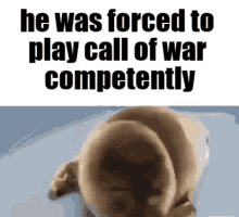 Forced Seal Call Of War GIF - Forced Seal Call Of War Meme GIFs