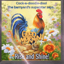 Rise And Shine Good Morning GIF - Rise And Shine Good Morning GIFs