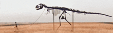 a large skeleton of a dinosaur is being displayed in a field