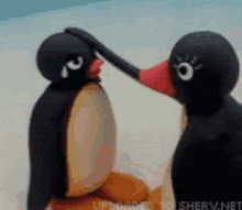 Pingu Its Okay GIF - Pingu Its Okay Dont Worry GIFs