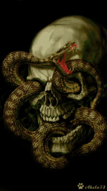 skull snake eyes