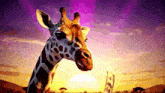 a giraffe holds a dollar bill in its mouth in front of a sunset