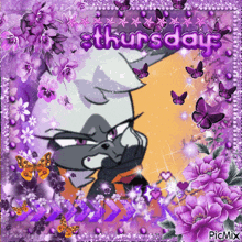 a picture of a cat with purple flowers and butterflies and the words thursday on top