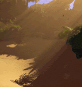 a shadow of a palm tree is cast on a sandy area