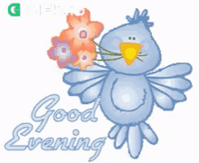 good evening gifkaro flying bird bird flower