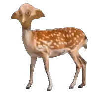 a deer with a dog 's face on it