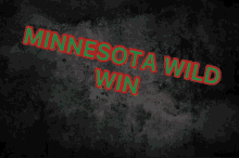 Minnesota Minnesota Wild GIF