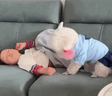 a baby laying on a couch next to a dog wearing a blue shirt
